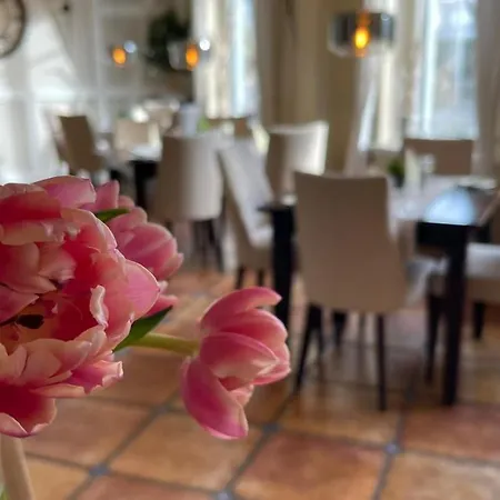 Harmonie Apartment Boltenhagen